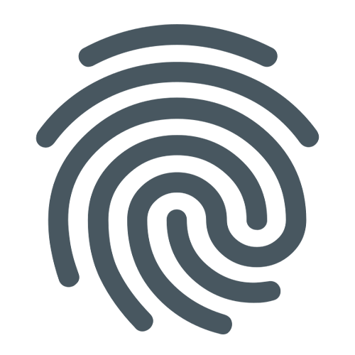 Aadhaar Biometric Authentication API